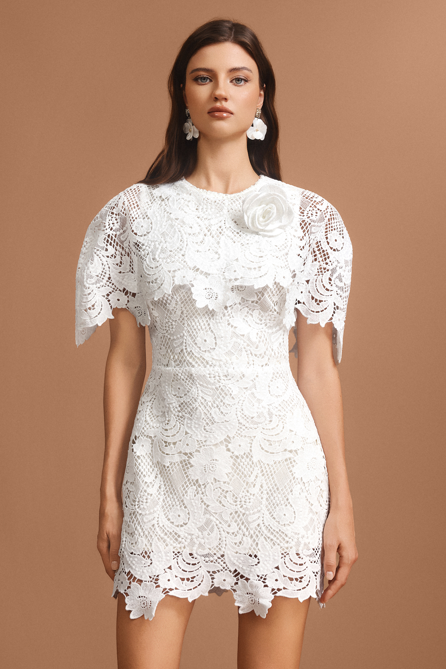 Vernes Round Neck Short Sleeves Lace Mini Dress