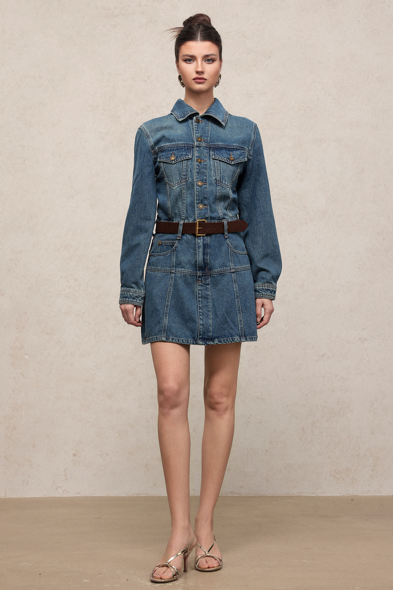 Diana Chic Long Sleeve Denim Mini Dress