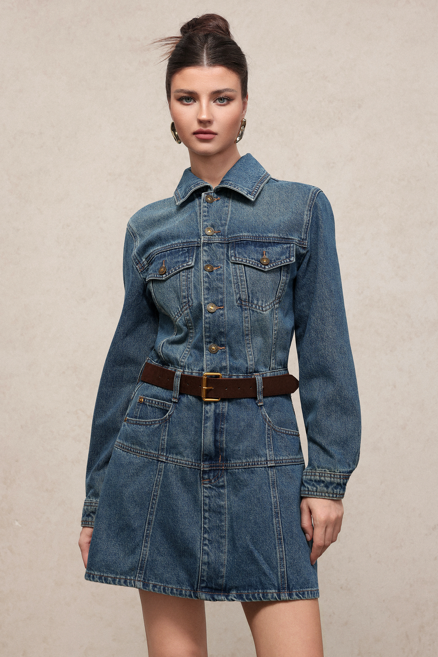 Diana Chic Long Sleeve Denim Mini Dress