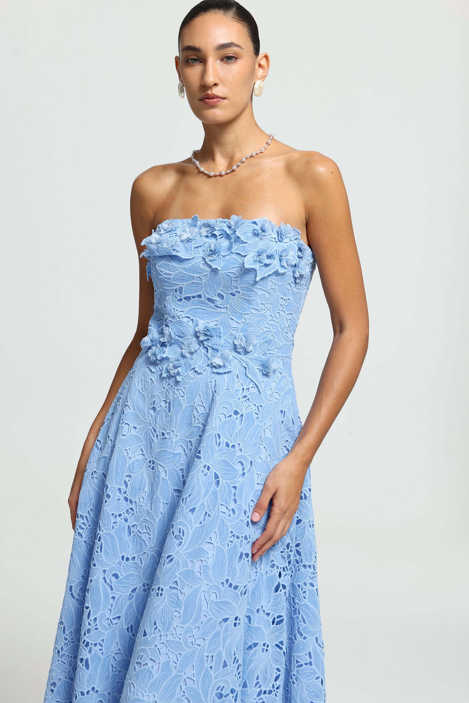 Strapless Floral Appliqué Lace Midi Dress