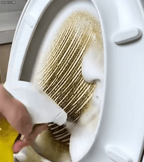 Honeycam 2026-01-22 10-40-24.gif