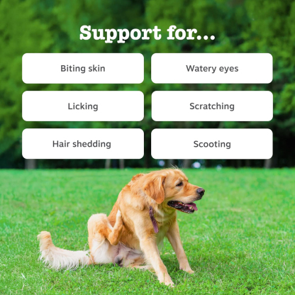 Dietary Supplement（益生菌）