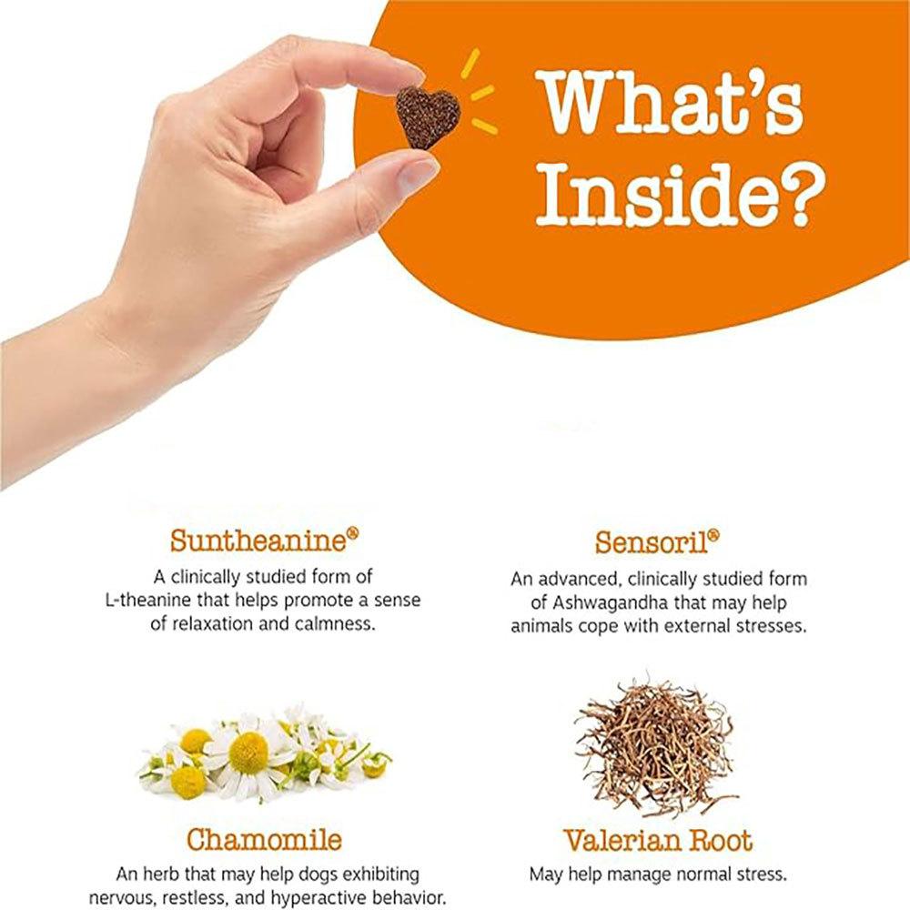 Calmante Para Perros（镇静）