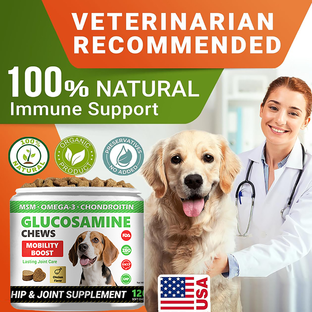 Gucosamina Para Perros