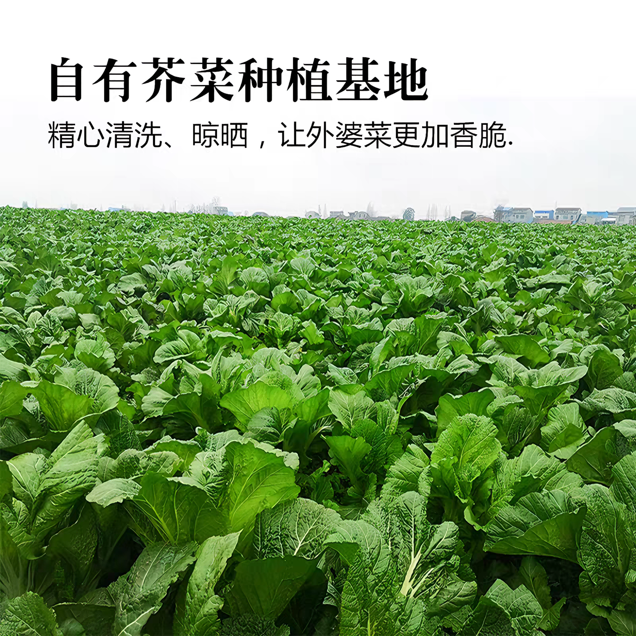 聪厨 外婆菜 咸香微辣 258克*1袋