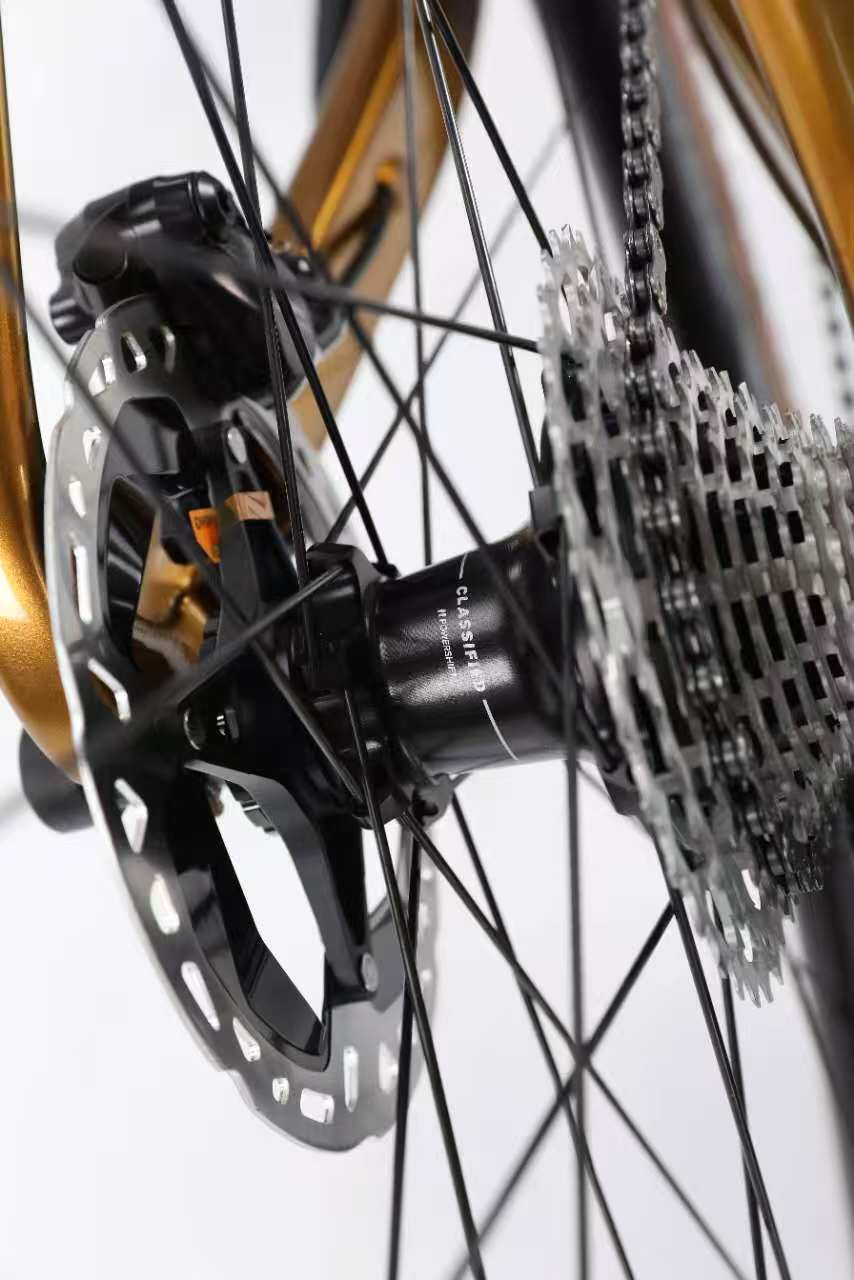 Ten + Discovery Carbon Bike