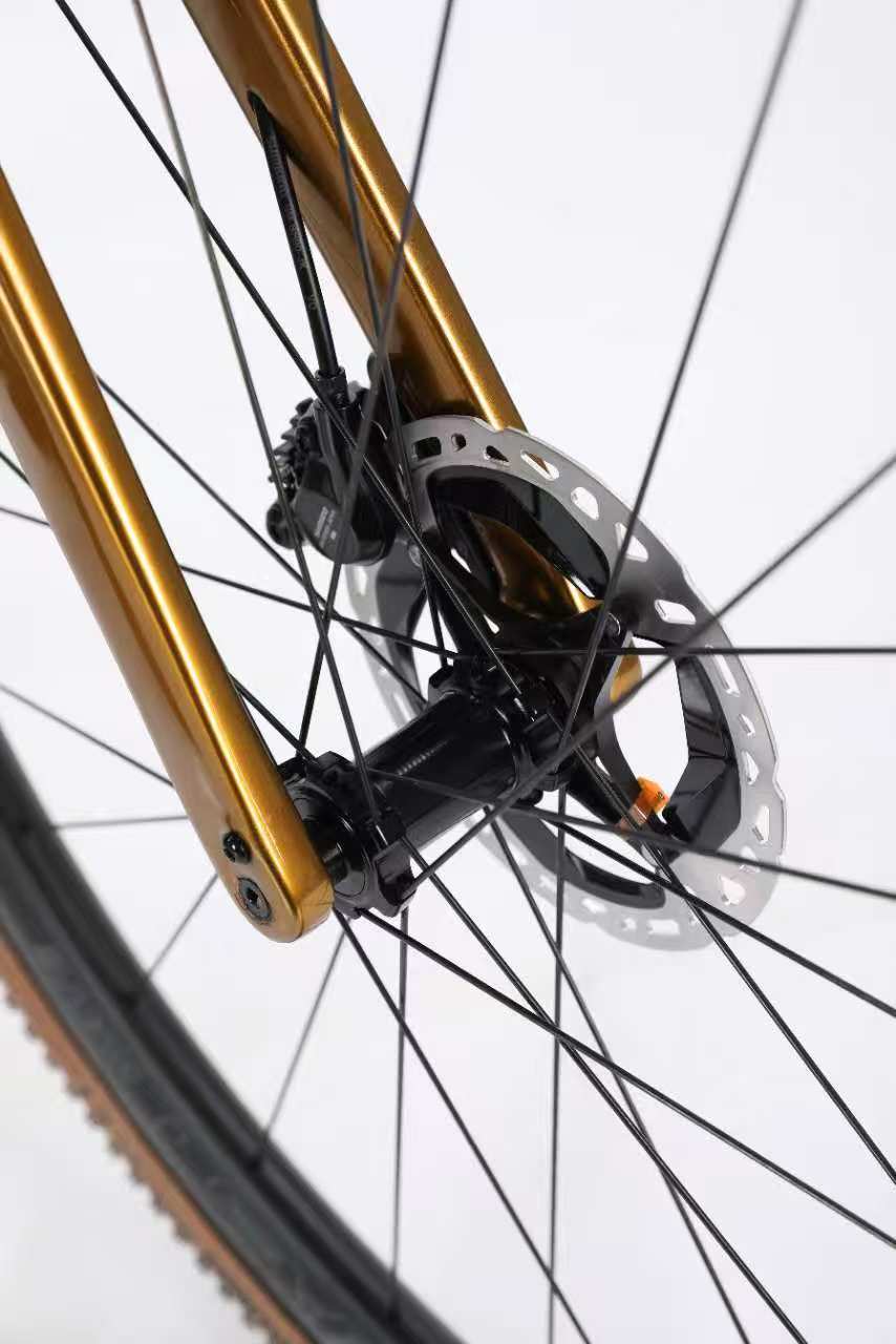 Ten + Discovery Carbon Bike