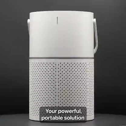 Transform Your Indoor Air Quality With One Simple Device