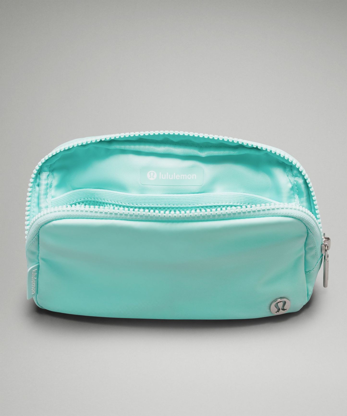 Everywhere Belt Bag 1L