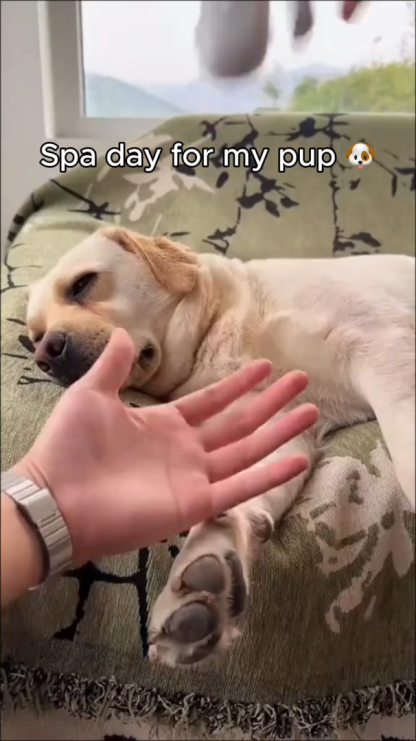 LED 2-in-1 Pet Nail Clipper & Grinder