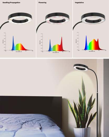 GLOWRIUM®Grow Light  Full Spectrum LED Floor Plant Light for Indoor Plants-G2