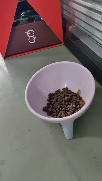 Cat Dog Bowl With Stand Pet Feeding Food Bowls Dogs Bunny Rabbit Nordic Color Feeder Product Supplies Pet Accessories