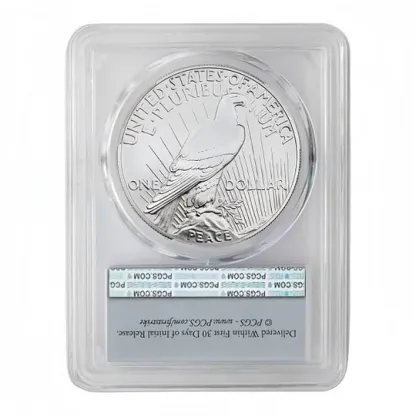 1 Oz 2025 Peace Silver Dollar – Pure Silver • Limited Release • Limited-Time Factory Price