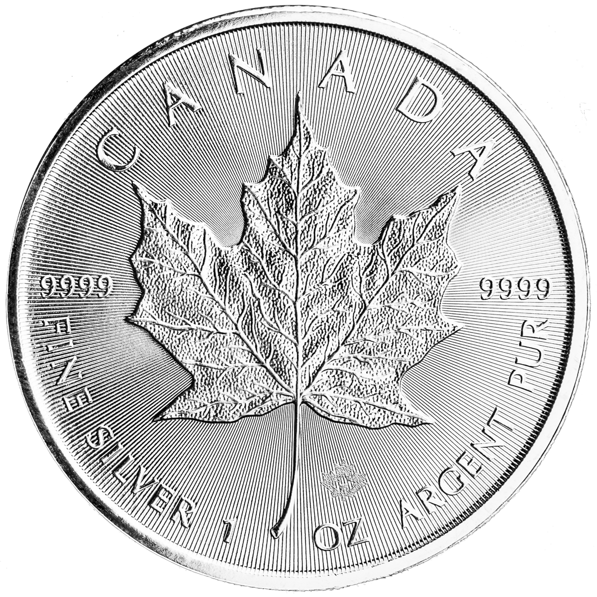 1 oz Canadian Silver Maple Leaf Coin (Random Year)
