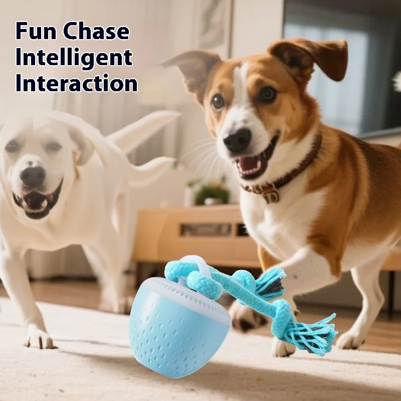 Smart Dog Toys With Motion Activated 🐾