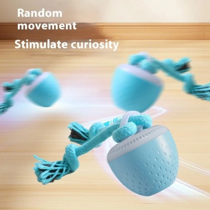 Smart Dog Toys With Motion Activated 🐾