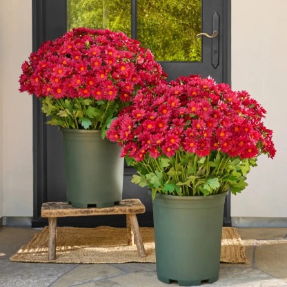 💥Last Day Each Only $2.99🌼- Artificial Outdoor Sunset Mums Flowers - UV resistant, Waterproof, Windproof