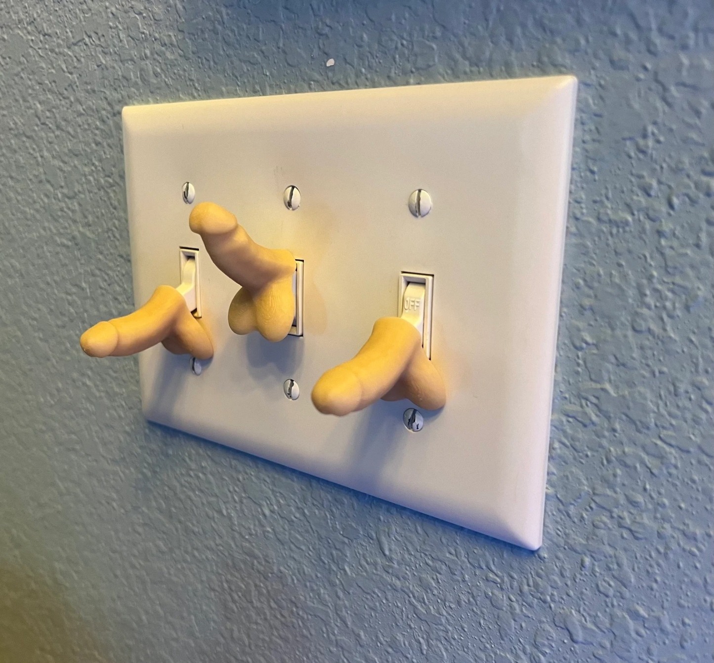 Penis Light Switch Cover