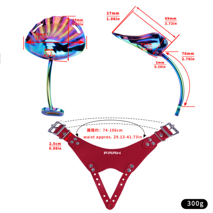 Iridescent Shell Belted Chastity Lock – Adjustable Strap, Unique Rainbow Finish & Secure Fit