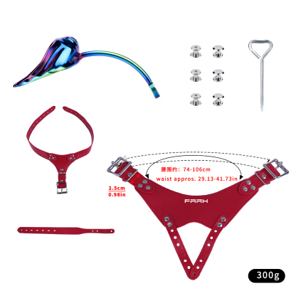 Iridescent Shell Belted Chastity Lock – Adjustable Strap, Unique Rainbow Finish & Secure Fit