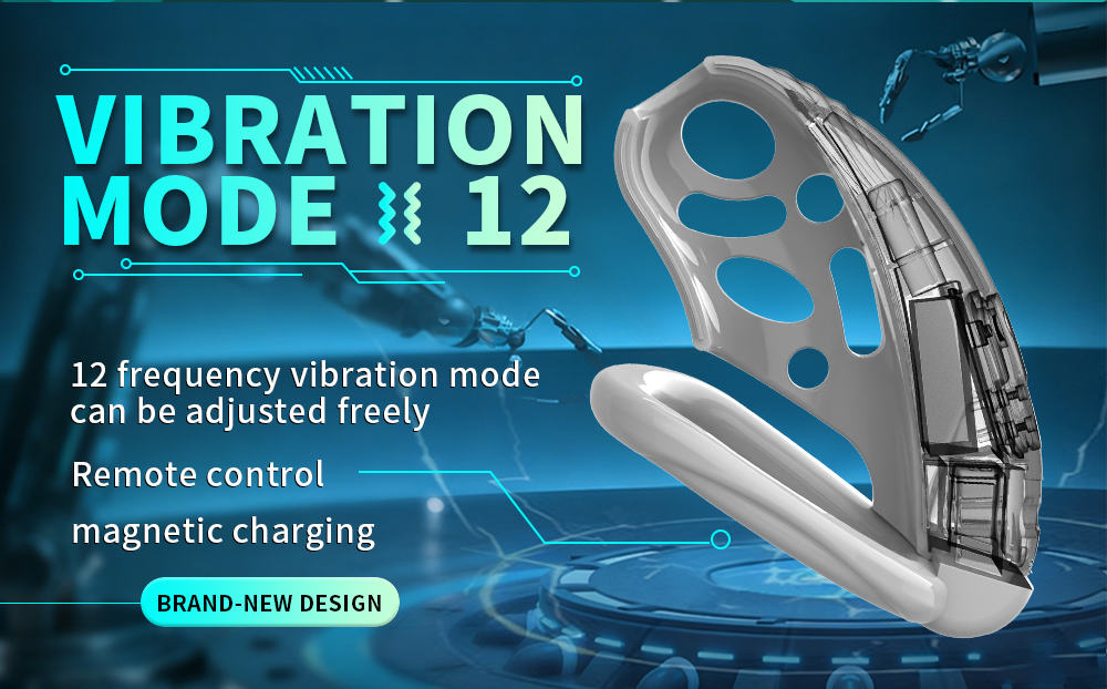TOYAURA Dragon Vibrating Chastity Cage – APP & Remote Controlled Male Chastity Device with 12 Vibration Modes
