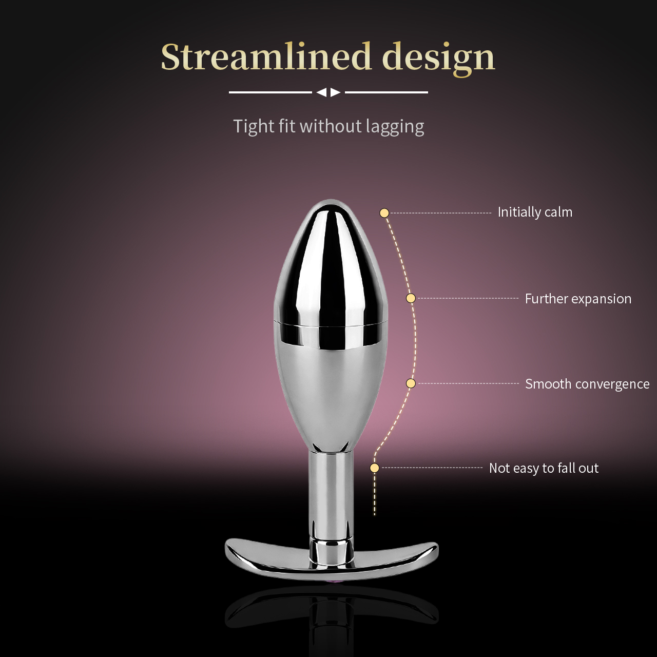 Stainless Steel Key Locking Anal Plug