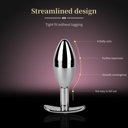 Stainless Steel Key Locking Anal Plug