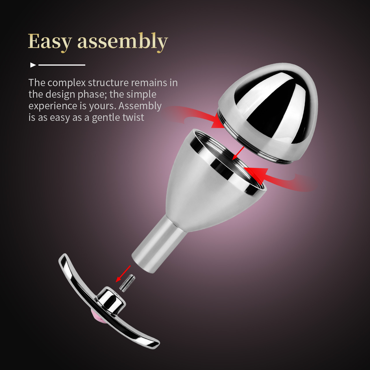 Stainless Steel Key Locking Anal Plug