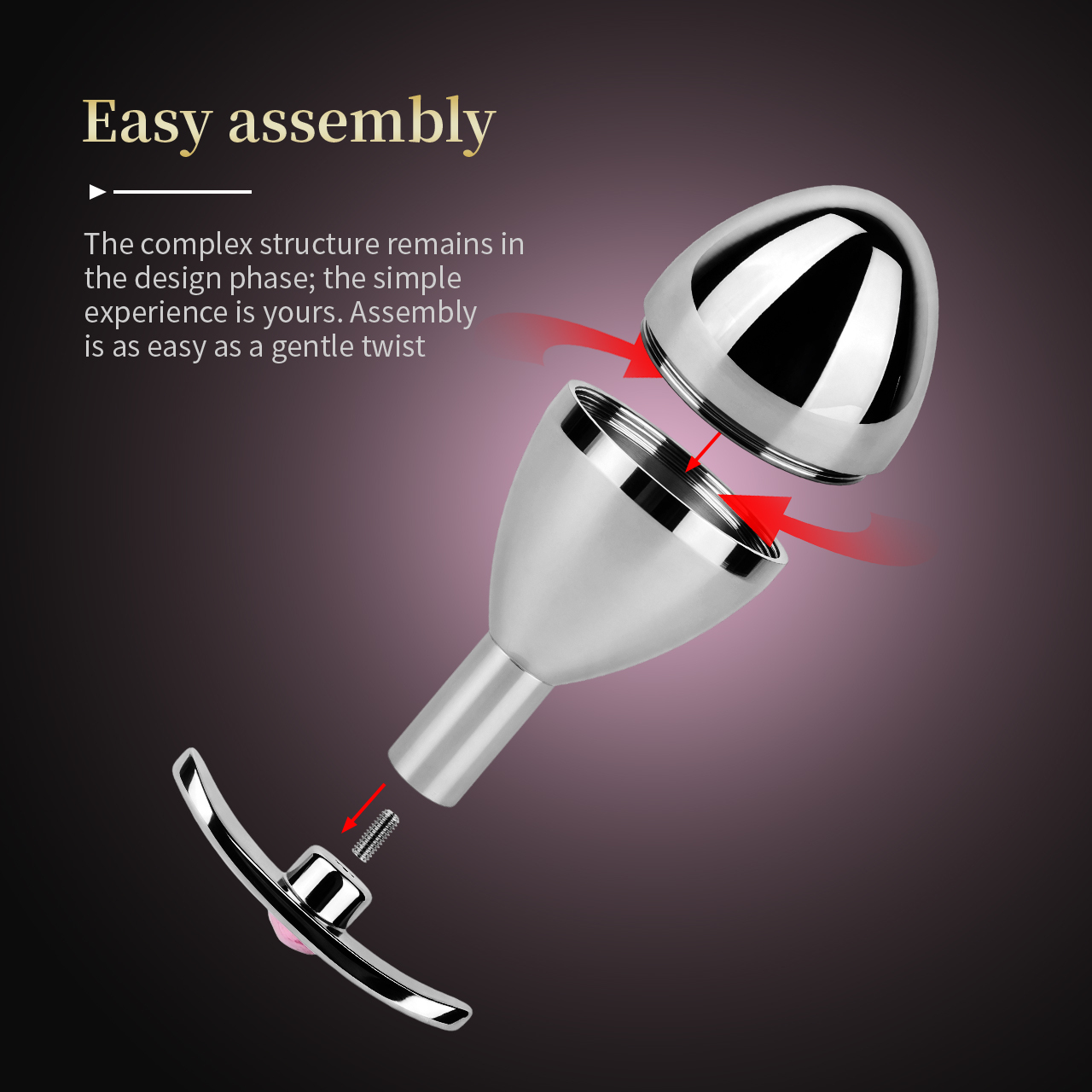 Stainless Steel Key Locking Anal Plug