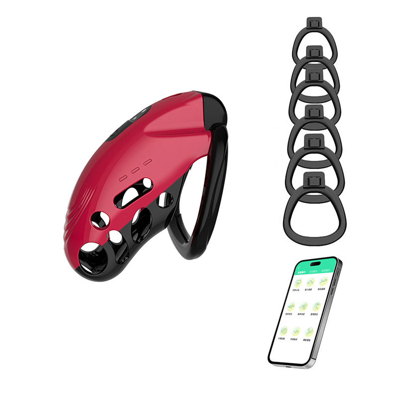 Smart Vibrating Chastity Lock with Remote Control & App Control