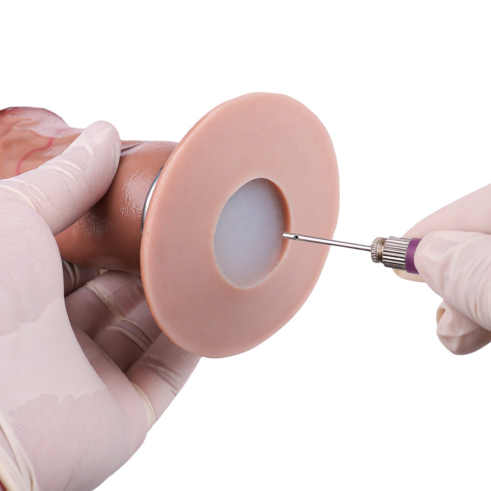 Realistic Pneumatic Ovipositor Egg-Laying Toy – Air Pump Controlled 