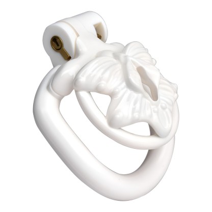 3D Printed Resin Male Chastity Device 