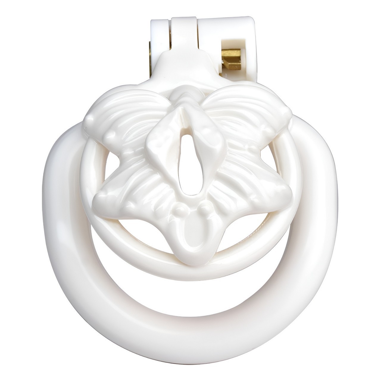 3D Printed Resin Male Chastity Device 