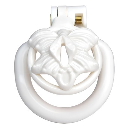 3D Printed Resin Male Chastity Device 