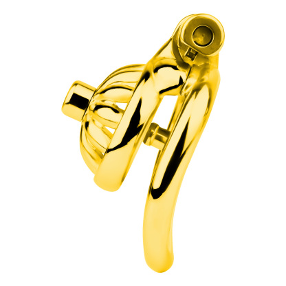 Stainless Steel Floral Chastity Lock 