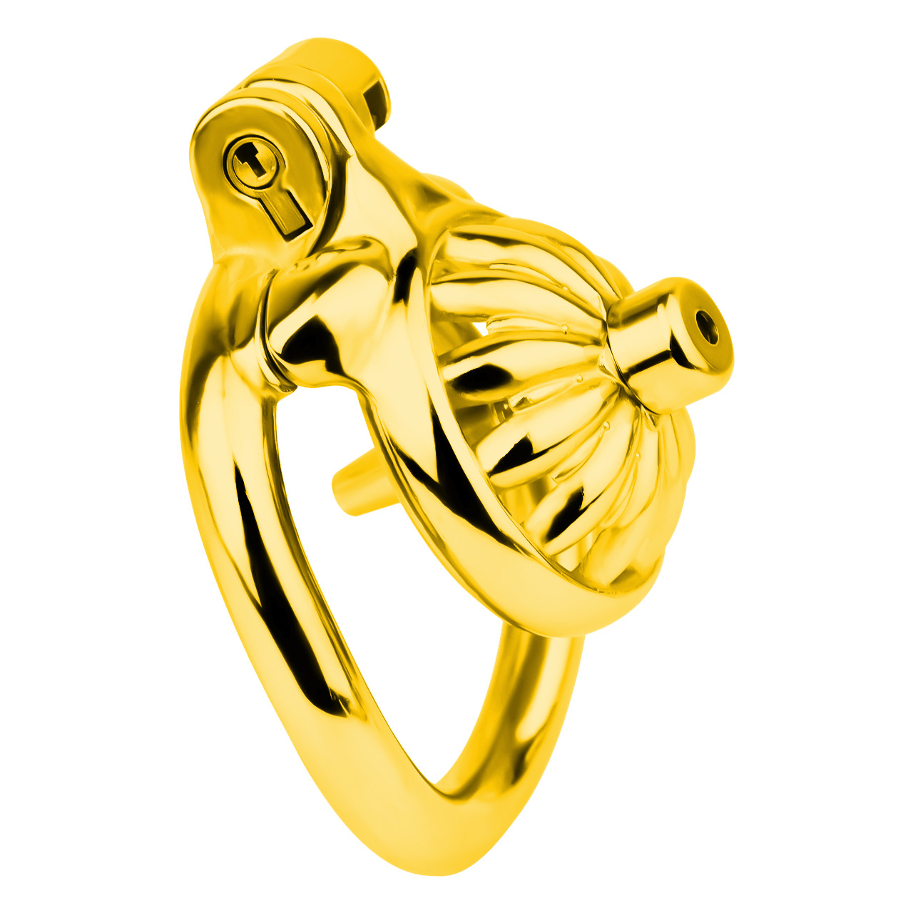 Stainless Steel Floral Chastity Lock 