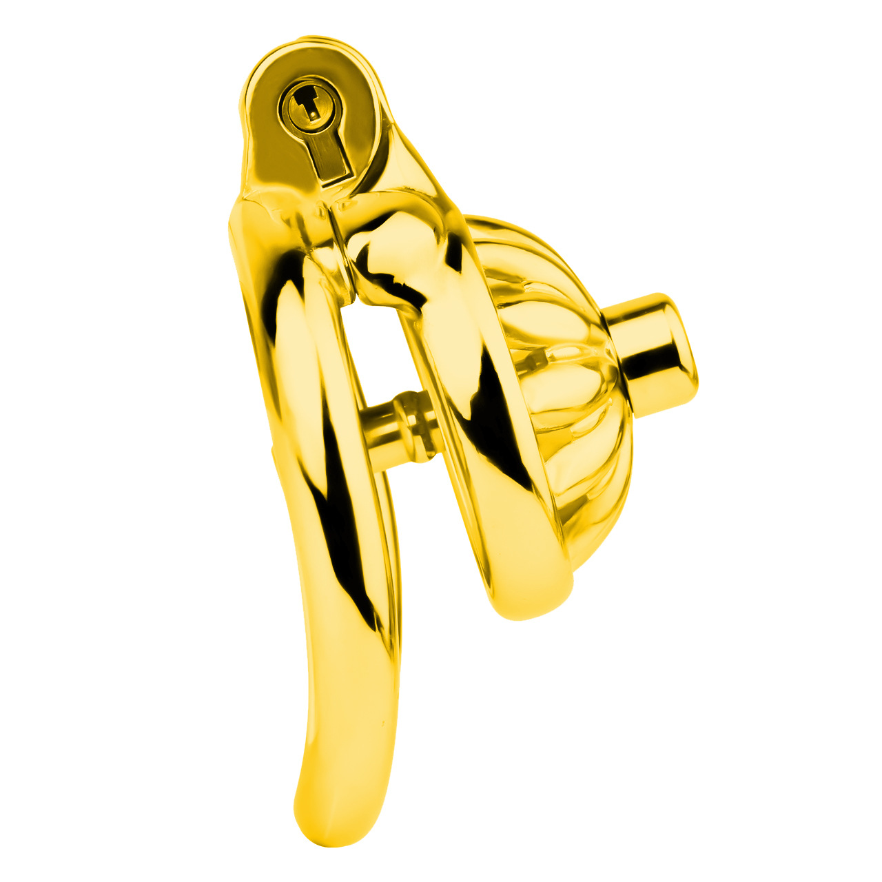 Stainless Steel Floral Chastity Lock 