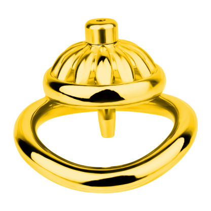 Stainless Steel Floral Chastity Lock 