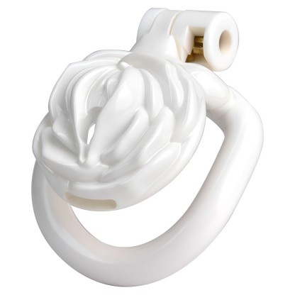 3D Printed Resin Male Chastity Device 