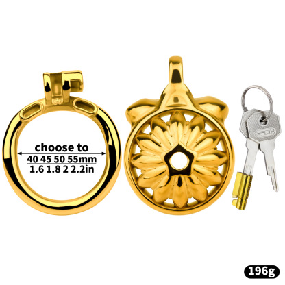 Stainless Steel Floral Chastity Lock 