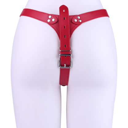 Iridescent Shell Belted Chastity Lock – Adjustable Strap, Unique Rainbow Finish & Secure Fit