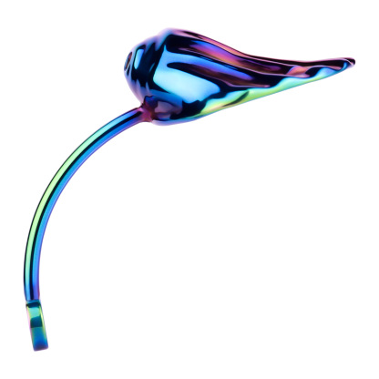 Iridescent Shell Belted Chastity Lock – Adjustable Strap, Unique Rainbow Finish & Secure Fit