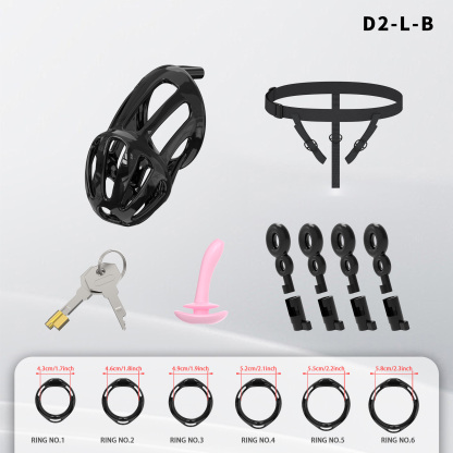 Lightweight ABS Chastity Cage with 6 Lock Rings – Breathable Male Chastity Device in Black, Pink, and Purple (S/M/L Sizes)-ToyAura