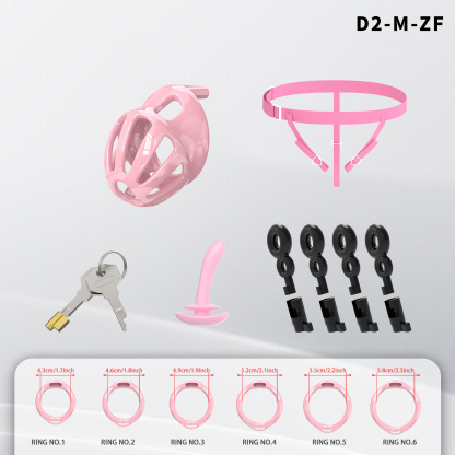 Lightweight ABS Chastity Cage with 6 Lock Rings – Breathable Male Chastity Device in Black, Pink, and Purple (S/M/L Sizes)-ToyAura