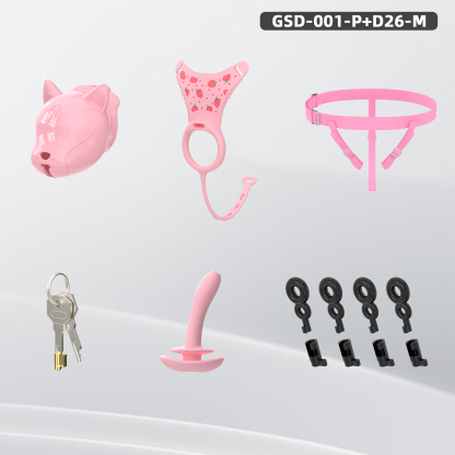 Puppy Head Chastity Cage Set with Underwear & Plug – GSD Series BDSM Restraint Kit