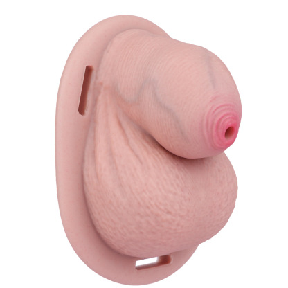 Realistic Silicone Chastity Lock with Decorative Cover