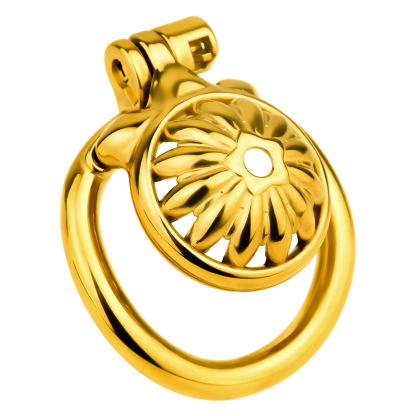 Stainless Steel Floral Chastity Lock 