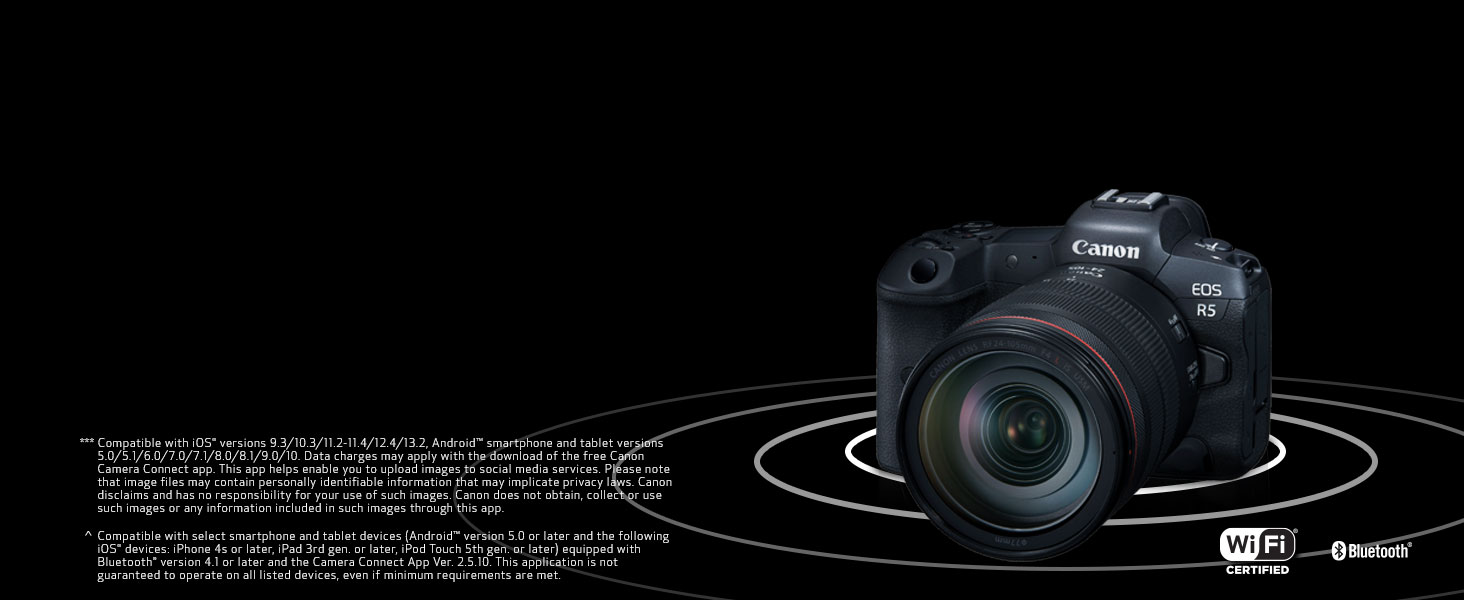 Wireless Capabilities 