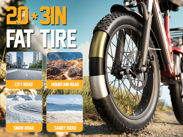 [New Arrival] Lady's Cleytro® XC20 Electric Bike 