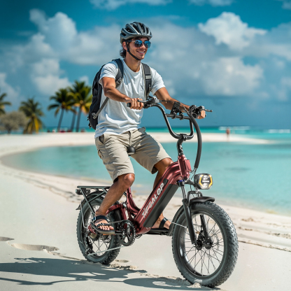 Tifgalop XC20 Electric Bike